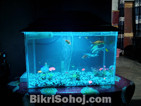 একুরিয়াম